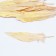 Feathers for decor, gold gold, 13-15 cm 10 pcs