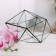 Florarium "Crystal" (Switch Silver)