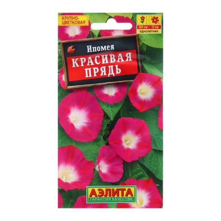 Seeds Ipomey Beautiful strand of one c/n 1g