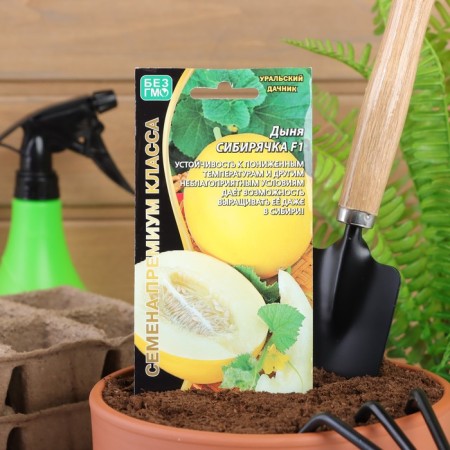 Siberian melon seeds, f1, 10 pcs-2