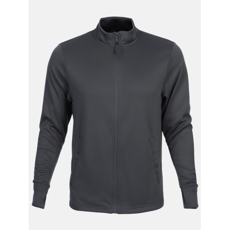 Long -line male Resport, on a zipper, p. 46, the color is gray, basic, with a long sleeve-10