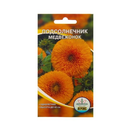 Flower seeds sunflower bear cub, 10 pcs