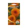 Flower seeds sunflower bear cub, 10 pcs