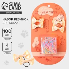 Set of gum for dogs Stay Beautiful