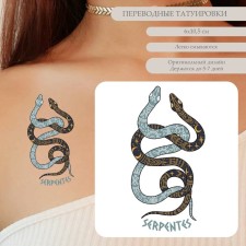 Tattoo on the body color 