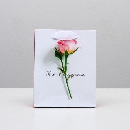 Package Gift Laminated Vertical, packaging, “You are beautiful”, S 12 x 15 x 5.5 cm-1