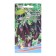 Eggplant seeds "Fairy -tale prince", 20 pcs