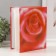 Photo album for 200 photos 10x15 cm "Rose Red"