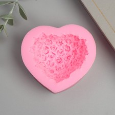 Mold Silicon 