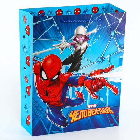 Gift package, 31x40x11 cm, packaging, 4 types of mix-1