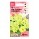 Petunia flowers "Sophistry Lime Green", F1, 5 pcs