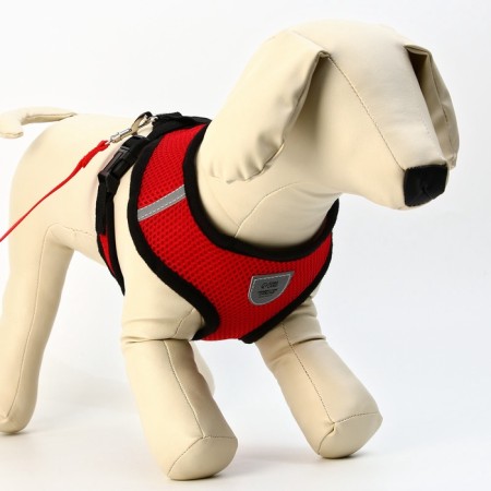 Drinking harness with a leash and reflective patch, L, Osh 35, OG 38-50, Red-1