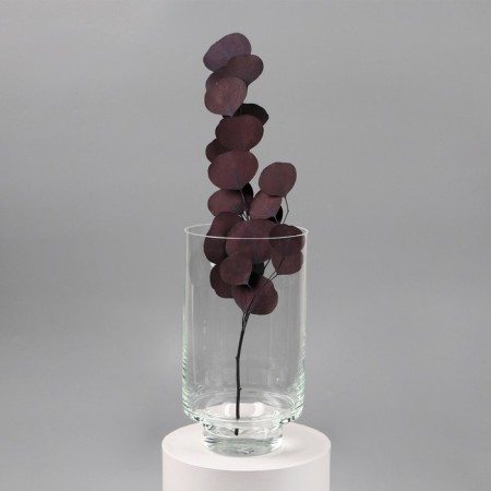 VAZ "Lola" 25x14 cm, 3.1l 2377