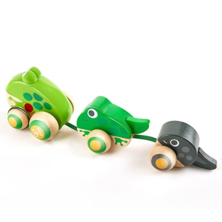 Katalka "Frog Frogs on a walk"-2