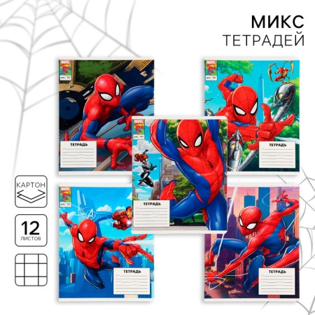 Notebook in a cage 12 sheets, 5 types of mix, cover coated cardboard, spider-man