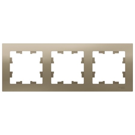 Frame SE AtlasDesign, 3-fast, universal, champagne color