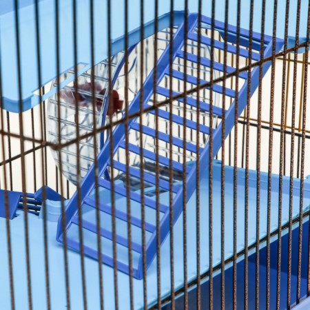 A cage for rodents with plastic shelves and filling, 36 x 23 x 34 cm, blue-4