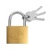 The castle of a hinged type 14, 50 mm, 3 keys