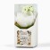 The diffuser aromatic sticks, a flavor for the house “Aromadiffus: Create, Dream, Love”, Jasmine aroma, 50 ml.