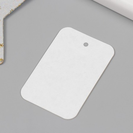 Tag without print 4x6 cm, rounded edges-1