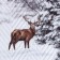 Board "Ethel" 1.5 joint venture Snow Forest, 145x210cm, microfiber