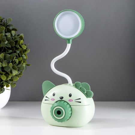 Table lamp "Delhi" LED 2 modes 2W USB green 11.7x7x12 cm Risalux-4