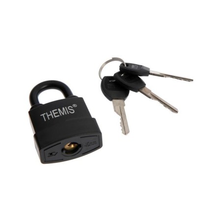 The castle is hinged, 45 mm, a copper cylinder, moisture -proof, short handle, 3 keys mix-2