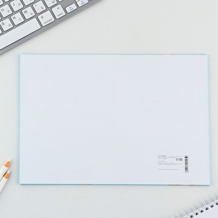 Planning schedule of A4 schoolboy, 30 sheets "Raccoon"-2