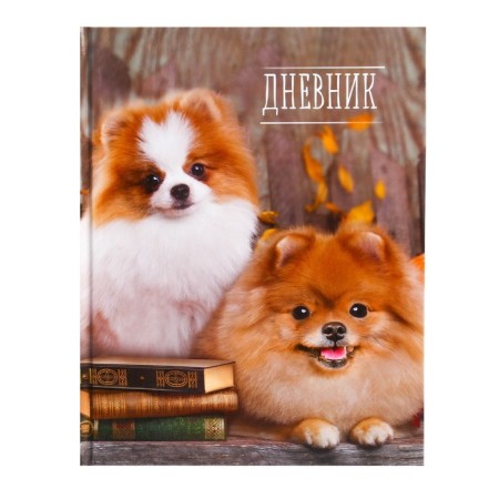 Universal diary for grades 1-11, "spitz", solid cover 7BC, glossy lamination, 40 sheets-1