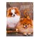 Universal diary for grades 1-11, "spitz", solid cover 7BC, glossy lamination, 40 sheets