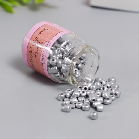 Circular beads 6/0 in the bottle "Silver" 20 g-1