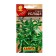 Stevia seeds "delight", c/n, 7 pcs