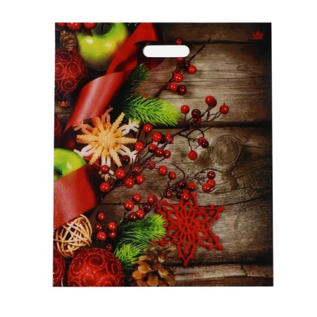 Package "Winter Kalina", polyethylene with a cut pen, 45 x 38 cm, 60 μm