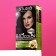 Studio Professional 5.4 Chocolate, 50 ml