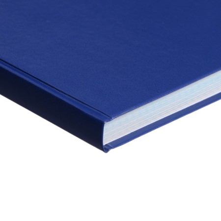 Book of accounting, 192 sheets, boumvinyl cover, newspaper block, cage, blue color-2