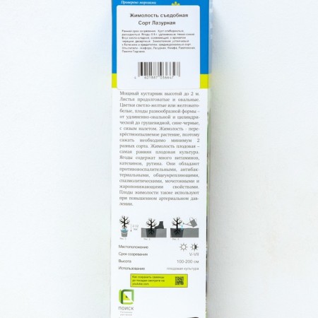 Assistant honeysuckle (series North Garden) "Azure", 1 pc, tube, spring 2025-1