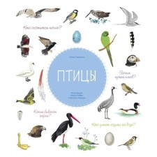 Birds. Torjman N.
