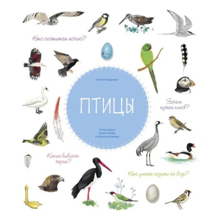 Birds. Torjman N.