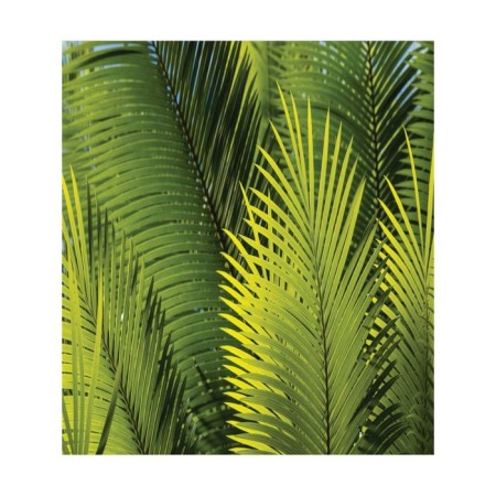 Set of napkins for setting the table "surrounded by fern", rectangular, size 32x46 cm, 4 pcs-2