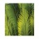 Set of napkins for setting the table "surrounded by fern", rectangular, size 32x46 cm, 4 pcs