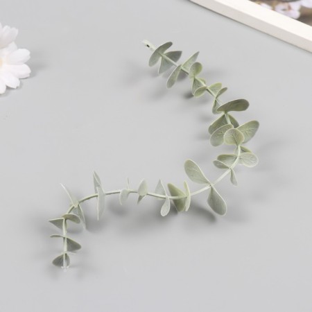 Decor for creativity "Vetochka eucalyptus" 28 cm-1