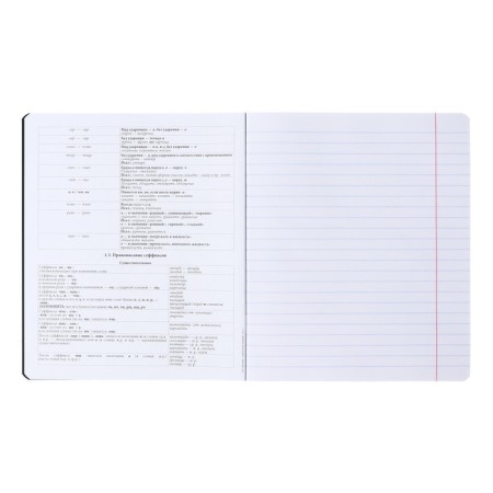 Subject notebook, 48 sheets, ruler, Russian language Erichkrause "Ves in the root", plastic cover silk-screen covers, Block OFSET 100%, information block-4