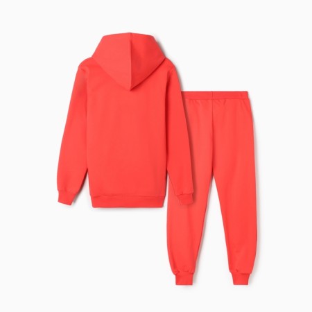 A set for a girl (sweatshirt, trousers) comb, red color, height 152 cm-5
