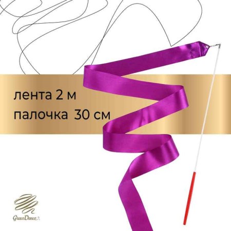 Ribbon for rhythmic gymnastics with a stick Grace Dance, 2 m, purple color