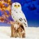 Garden figure "Owl on the stump" Polar, 28cm