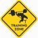 Decorative sign (poster) "Training Zone" 32x32 cm, plastic