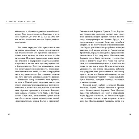 Liberating meditation. Nidal O., Nidal Kh.-5