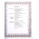 Elegant knitting of Hitomi Shida. Author's patterns and projects from coutures with schemes and instructions. 20 selected models. H. Shida