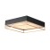 Ceiling lamp ST LUCE. SL1127.422.05. Chodo. 5x40 watts, E27, 60x60x18 cm, black color, matte gold