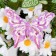 Decor on the clothespin "Butterfly", lilac, 12 cm